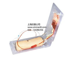 高級(jí)肘部靜脈穿刺訓(xùn)練模型——醫(yī)療護(hù)理實(shí)訓(xùn)的關(guān)鍵工具